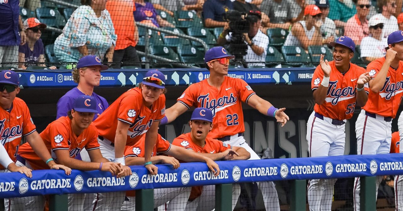 tigers-dugout-acc