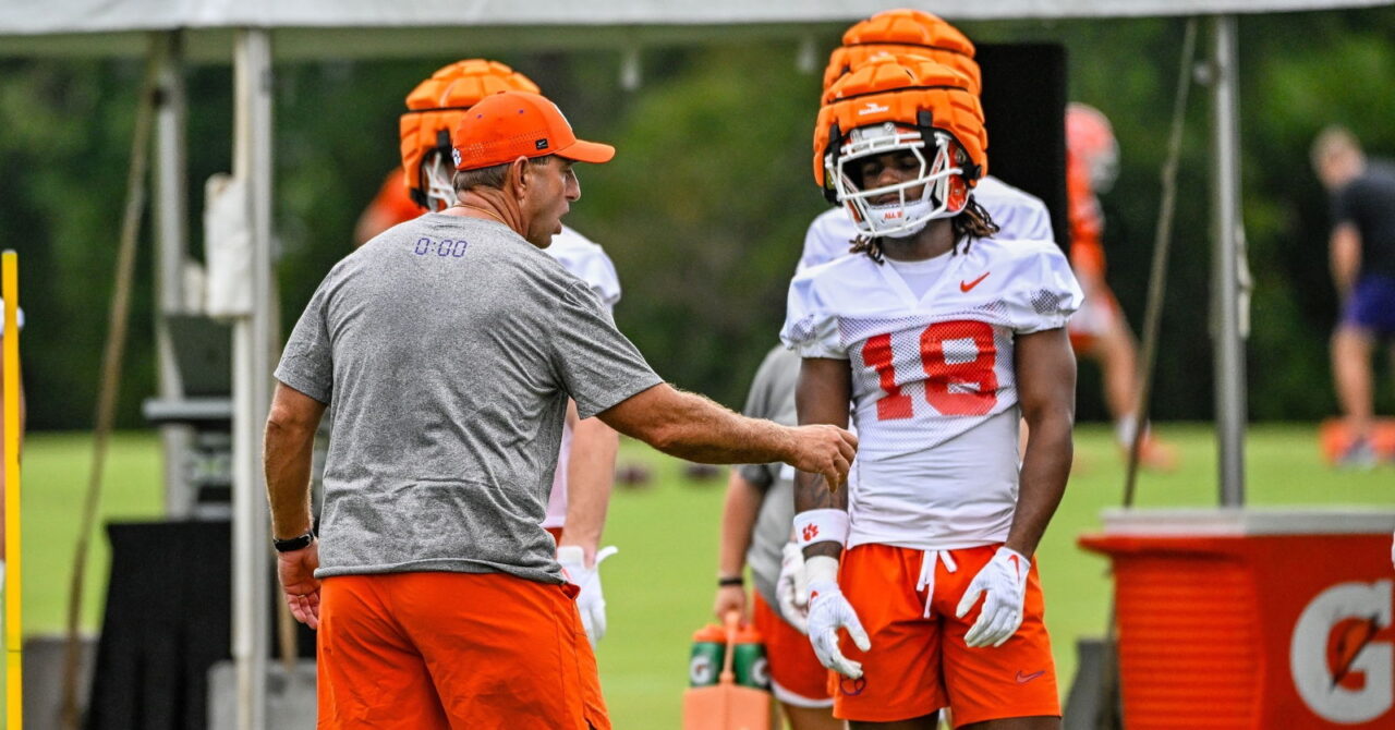 dabo-back-camp